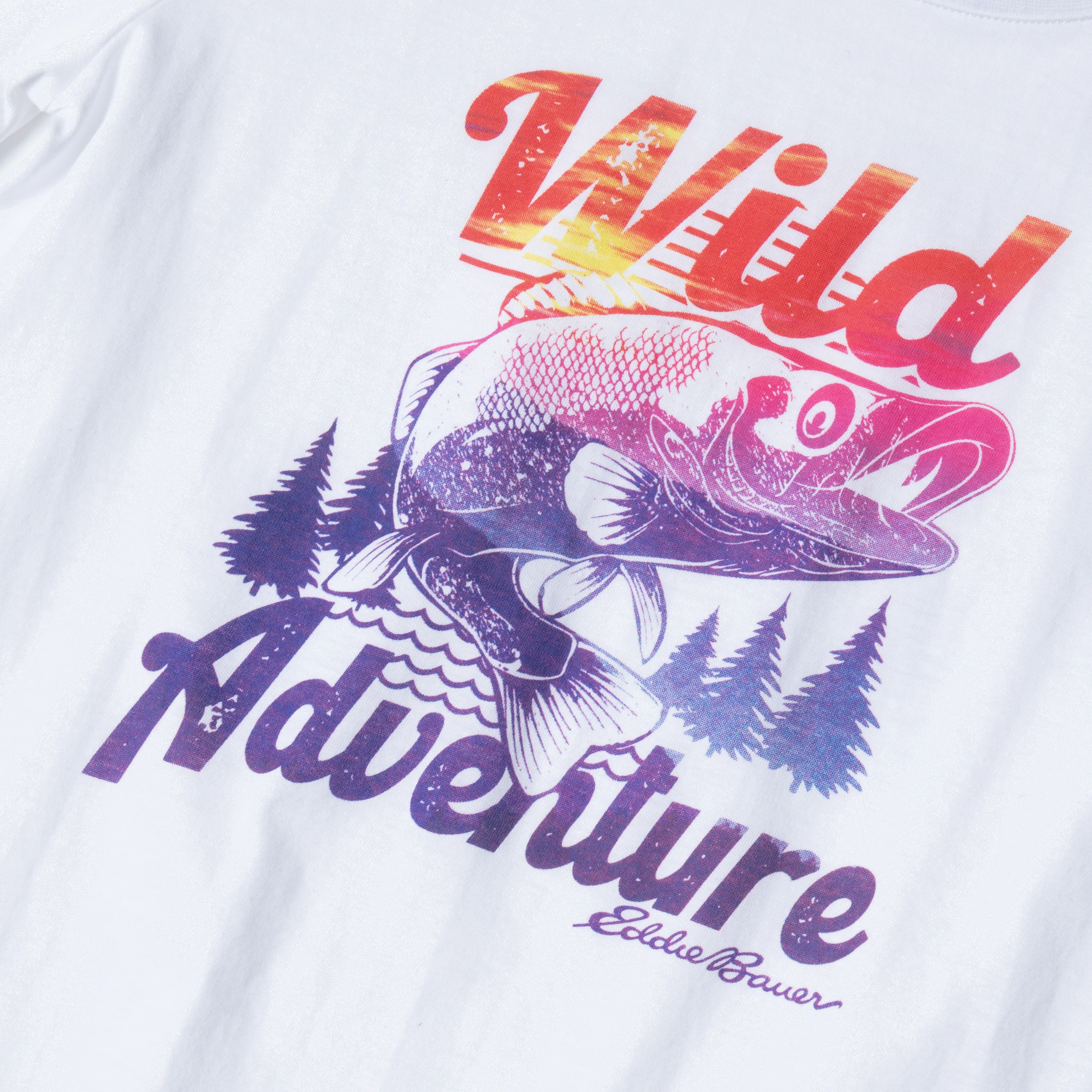Boys Graphic SS T-Shirt - Bundle - Image 7